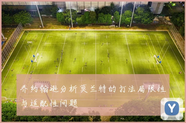 乔约翰逊分析莫兰特的打法局限性与适配性问题